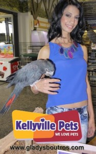Visit Me at Kellyville Pets — Book Signing